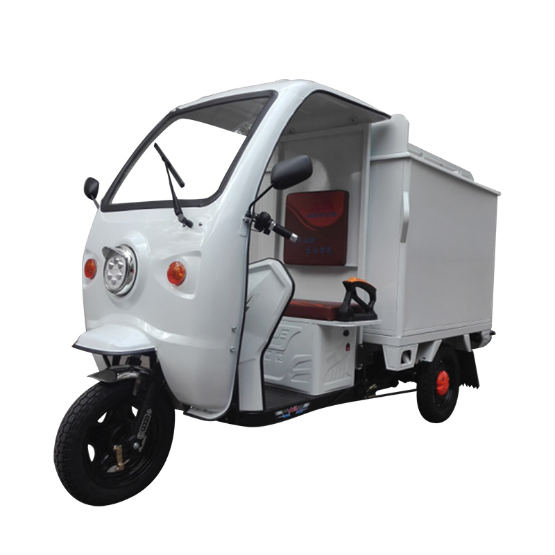 Delivery Express Electric Tricycle