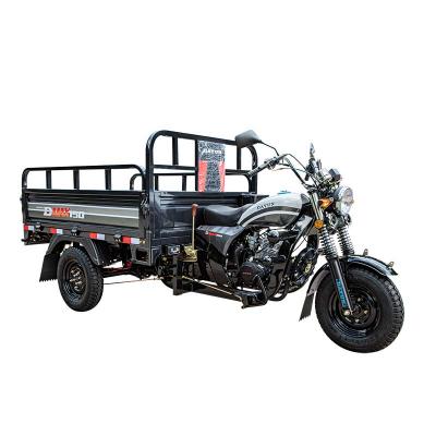 Cargo Three Wheel Motorcycle
