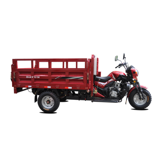 Gasoline 3 Wheel Cargo Motorcycle