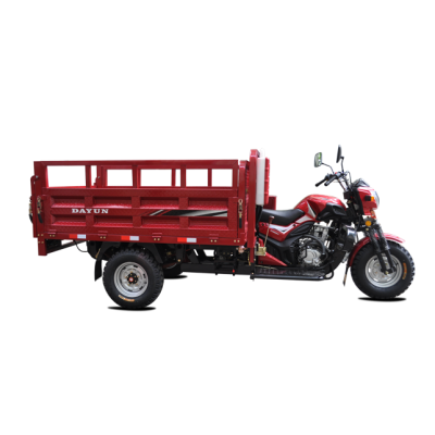 Gasoline 3 Wheel Cargo Motorcycle