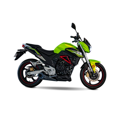 300cc Street Large Displacement Motorcycle