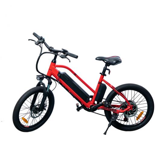 THE best Long Range Electric Bicycle for All Types of Cycling in 2023