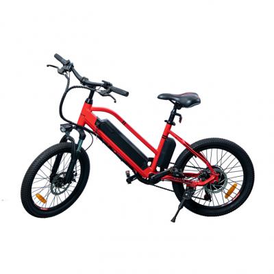 THE best Long Range Electric Bicycle for All Types of Cycling in 2023